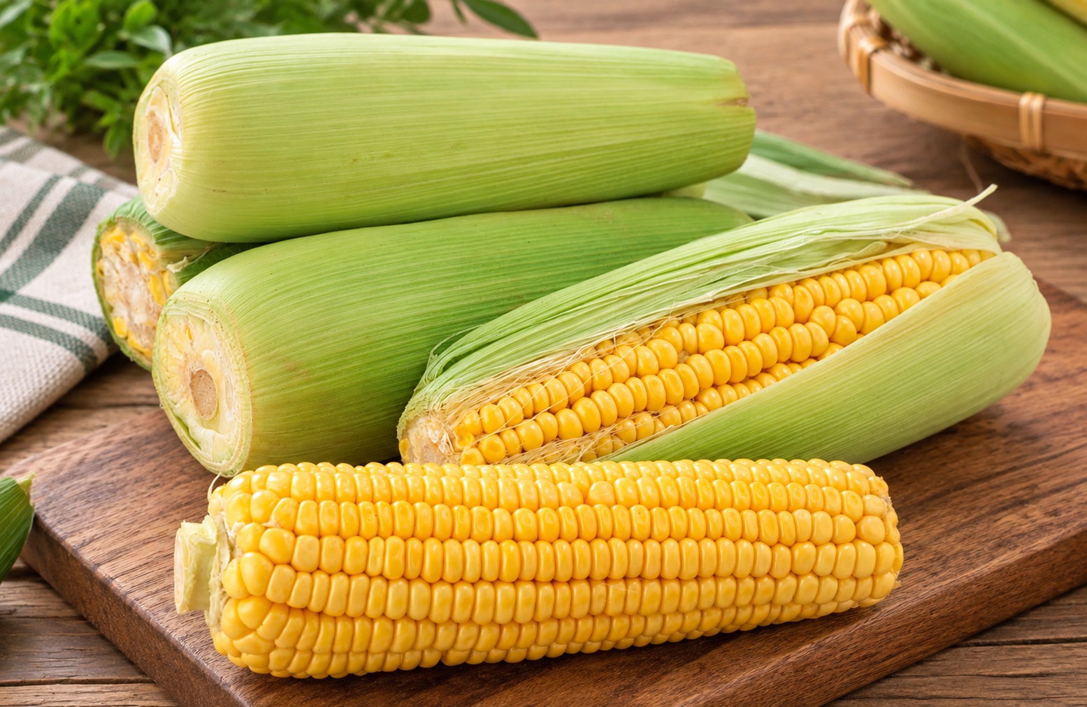 Jagung isi 2